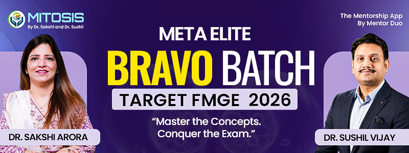 META ELITE BRAVO BATCH